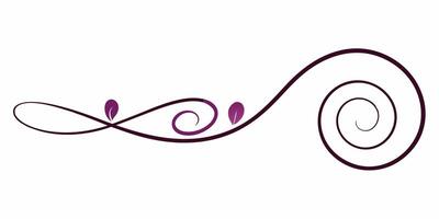 Swirl underline ornament design for creative project vector