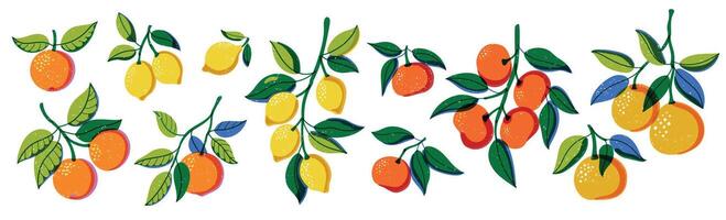 Riso print citrus. Cartoon lemon orange tangerine and grapefruit fruits, colorful botanical elements for juice packaging design. isolated set vector