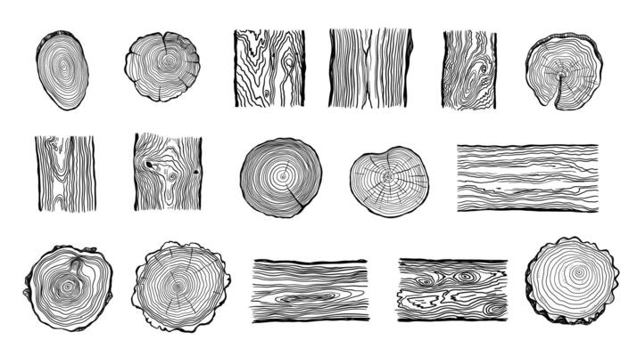 Wood rings. Round tree trunk cut with growth lines, wooden circle log with natural textured surface, carpentry material flat style. isolated set