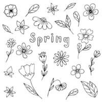 Set of spring flowers hand drawn outline vector