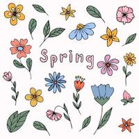 Set of spring flowers hand drawn vector