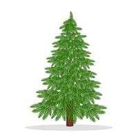 Christmas tree on a white background vector