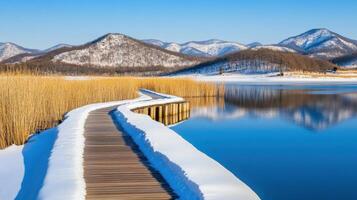 Walking path on Chungju Binae Island surrounded by melting snow and calm lake reflections during early spring photo