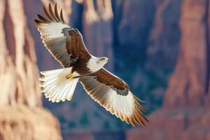 Majestic bird of prey soars gracefully above a stunning canyon under an ominous dark sky photo