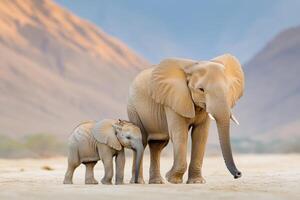 Elephant gently wraps trunk around calf in a dry riverbed under soft sunlight and warm earth tones photo