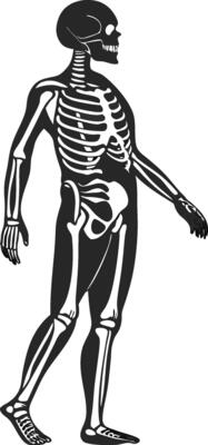 Minimalist Skeleton Silhouette Design