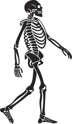 Black and White Skull and Bones Silhouette