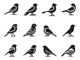 Set of Bird Silhouettes for Graphic Projects vector