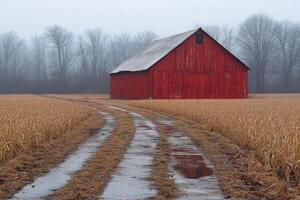 Red Barn Stands Alone In Foggy Field photo