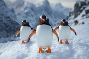 Three Gentoo Penguins Walking on Snowy Mountains photo