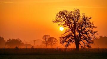The golden sky glows brightly as the sun is about to set. The surrounding area is full of fields and rice fields. photo