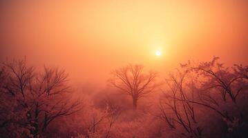 Orange sky in the middle of a mist-shrouded desert. photo