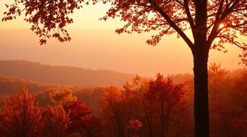 Autumn landscape with trees and mountains in the background photo