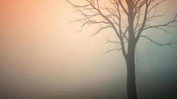 A tree is standing alone in the fog photo