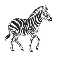 A striking black and white silhouette of a zebra in a dynamic running pose. vector