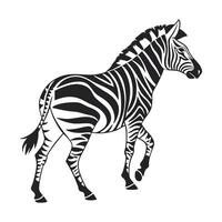 A striking, stylized black and white silhouette of a zebra in profile view, walking. vector