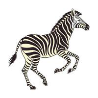 A black and white, stylized illustration of a zebra running across a grassy plain. vector