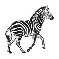 Black and white illustration of a zebra running through tall grass. vector