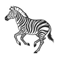 This graphic black and white silhouette of a zebra is a striking image of an African animal in motion. vector
