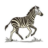 A Zebra in Motion, Running Across the vector