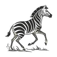 Elegant Zebra Silhouette in Grassy vector