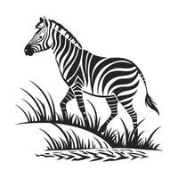 Zebra Silhouette in African Grassland vector