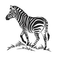 black and white silhouette of a zebra in a walking pose. vector