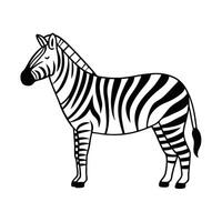 black and white silhouette of a zebra walking through tall grass in an African savanna. vector