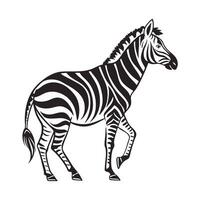 This is a simple, elegant black and white illustration of a zebra in a walking pose. vector