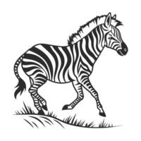 A striking black and white silhouette of a zebra, showcasing its distinctive stripes. vector