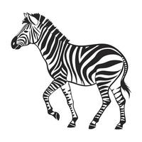 A striking black and white silhouette of a zebra in a walking pose. vector