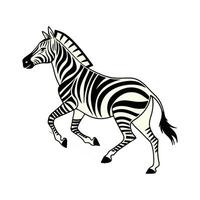 A Zebra in Motion, Running Across the Savanna. vector