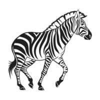 Silhouette of a Zebra in Walking Pose vector
