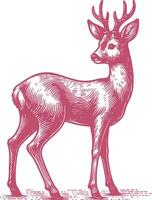 Graceful Roe Deer Illustration in Its Natural Habitat vector