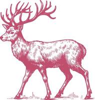 Majestic Whitetail Deer Sketch in the Wilderness vector