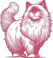 Timeless Charm of the Ragdoll A Vintage Illustration of Majestic Feline Elegance vector