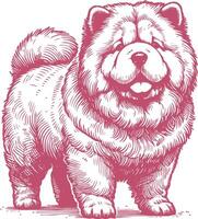 Vintage Hand Drawn Standing Chow Chow Dog Illustration - Retro Canine Artwork vector