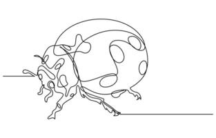 continuous line drawing of adorable ladybug vector