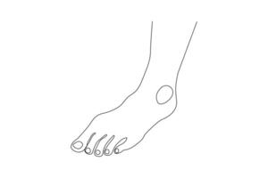 Elegant footprint line art drawing of isolated design vector
