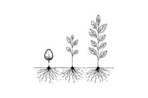 Elegant One-Line Drawing of Hands Protecting a Seedling Design vector