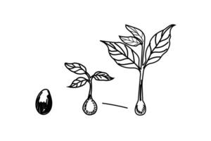 continuous Botanical Illustration of Hands Embracing Growth Minimalist Art for Eco Themes vector