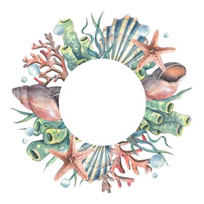 Corals, sea sponges, seaweed, shells, starfish and bubbles. Hand drawn watercolor illustration on the theme of sea animals and the underwater world. Round wreath, frame, template for text.