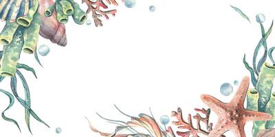 Corals, sea sponges, seaweed, shells, starfish and bubbles. Hand drawn watercolor illustration on the theme of sea animals and the underwater world. Horizontal rectangular frame, template for text. vector