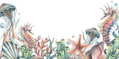 Seahorse, jellyfish, corals, sea sponges, seaweed, shells, starfish and bubbles. Hand drawn watercolor illustration on the theme of sea animals. Horizontal rectangular frame, template for text. vector