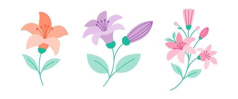 Three different types of flowers are shown in a row vector