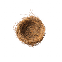A close-up view of a rustic bird's nest made of twigs and grass. png