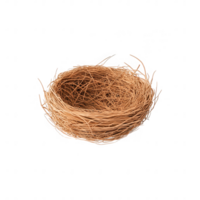 A rustic bird nest made of twigs and grass, symbolizing nature and new beginnings. png