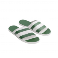 Stylish green and white striped sandals perfect for casual summer outings. png