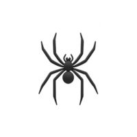 A detailed illustration of a black spider showcasing its unique anatomy and features. png