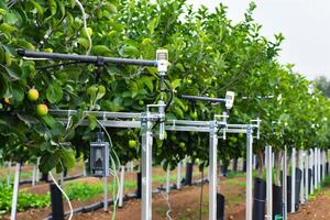 Smart agriculture technology in an orchard with automated irrigation and sensor systems photo